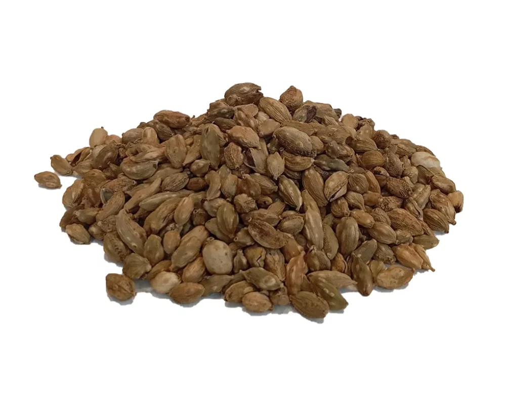 Cardamom Roasted - Nicense2