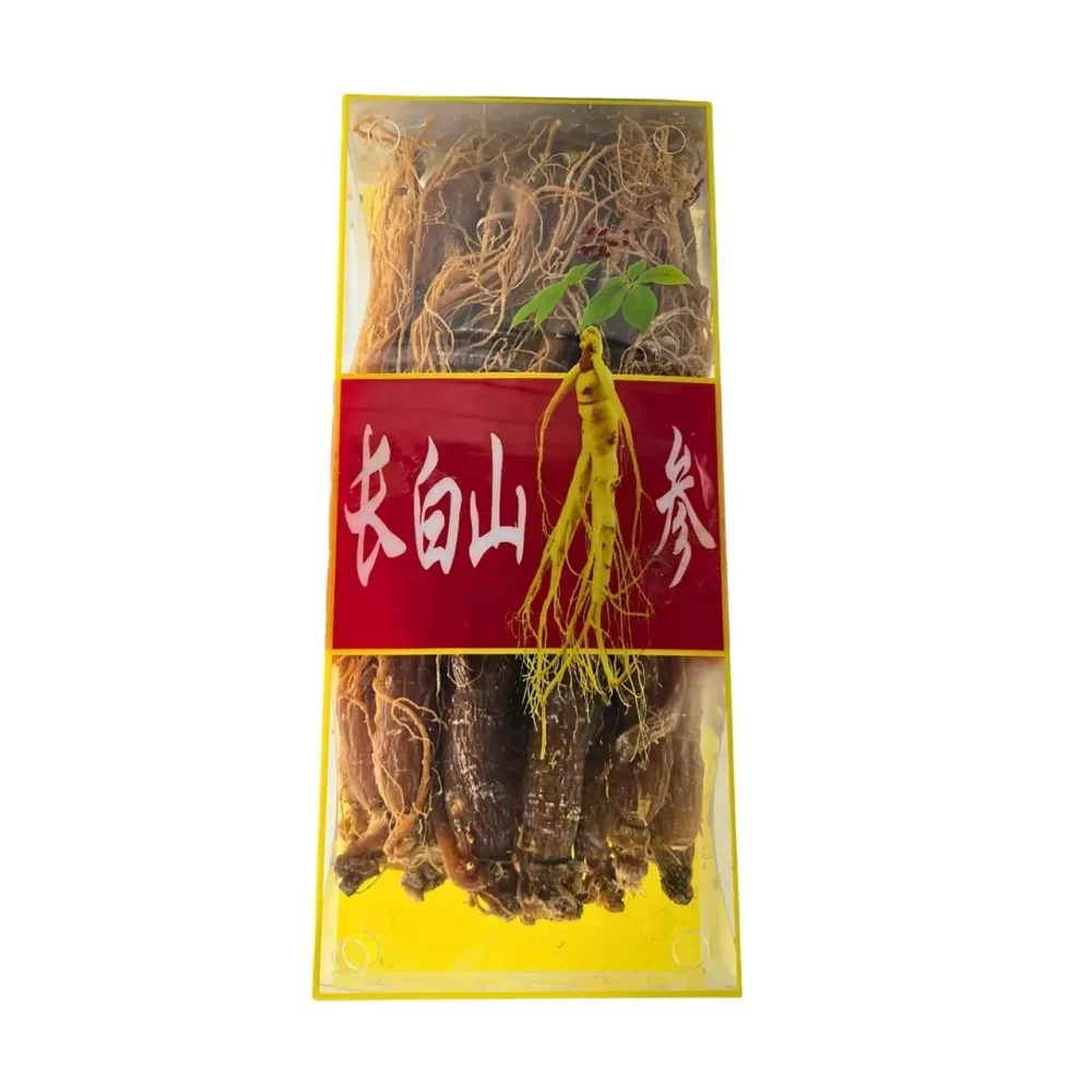 GINSEN ROOT