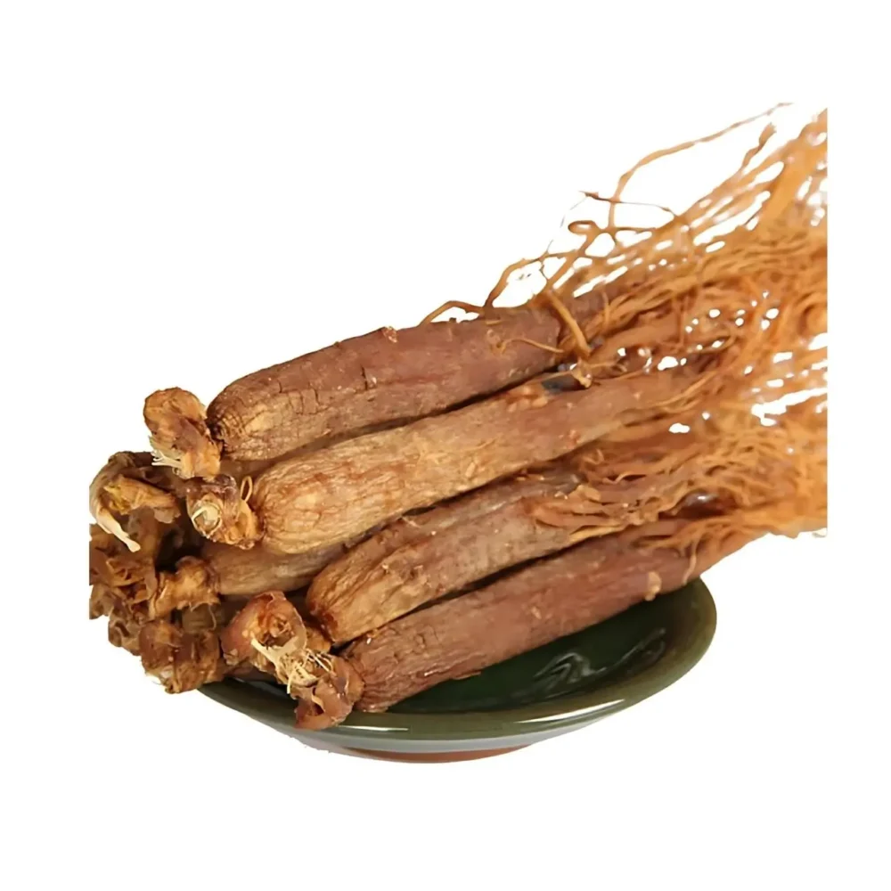 GINSEN ROOT